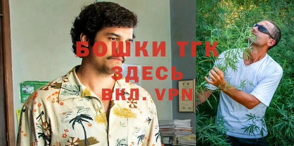твердый Алексин