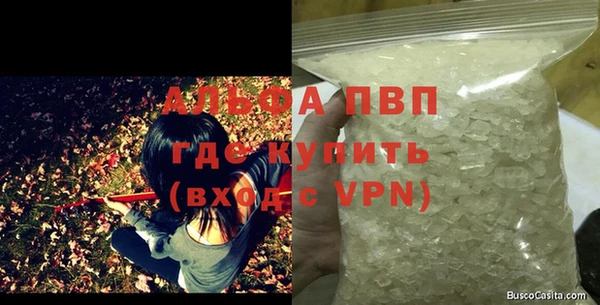 гашик Алексеевка