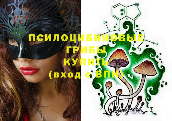 твердый Алексин