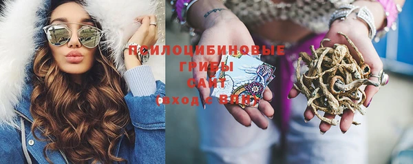 гашик Алексеевка