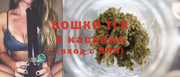 твердый Алексин