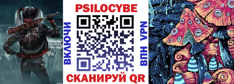 Псилоцибиновые грибы Cubensis shop официальный сайт Бежецк где найти